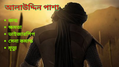 আলাউদ্দিন পাশা